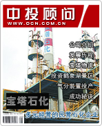 寶塔石化:多元經(jīng)營的民營石化企業(yè)