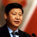 習(xí)近平:各國(guó)應(yīng)促進(jìn)金融體制改革 建預(yù)警機(jī)制