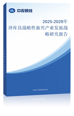 2025-2029Ɏh(zhn)da(chn)I(y)l(f)չ(zhn)о